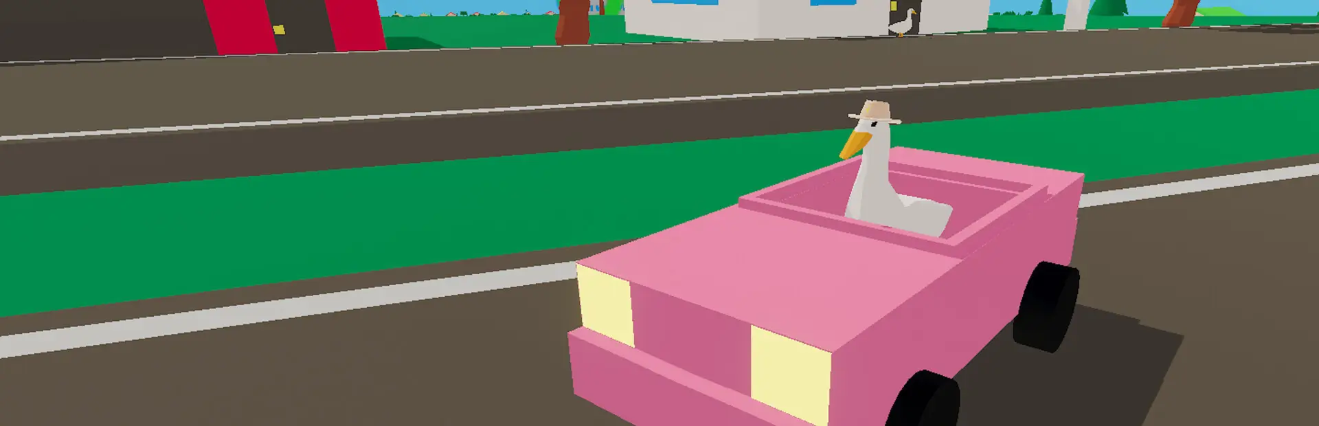 Ducks Can Drive