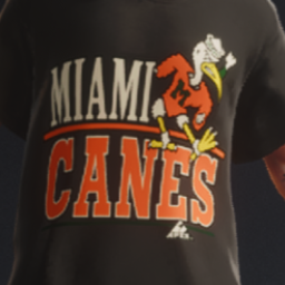 2 Miami Tees icon
