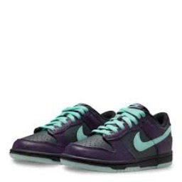 nikedunklowltdwizard icon