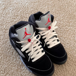 Jordan5Metallics icon