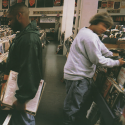 DJ Shadow Endtroducing icon