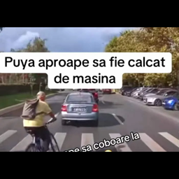 Romanian HIP AND HOPPER skate mod icon