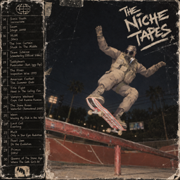 The Niche Tapes skate mod icon