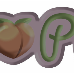 PP BOARDS V1 icon