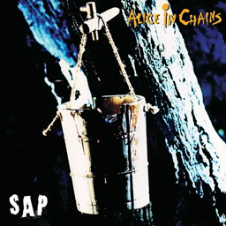 AiC Sap icon