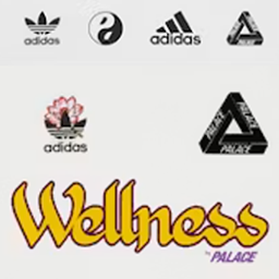 Adidas x Palace icon