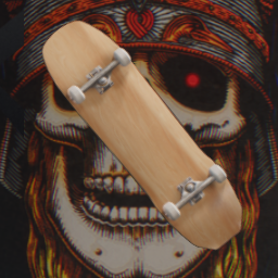 Andy Anderson Shape 289 skate mod icon
