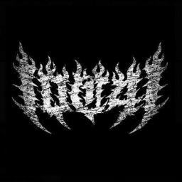 Vyzer icon