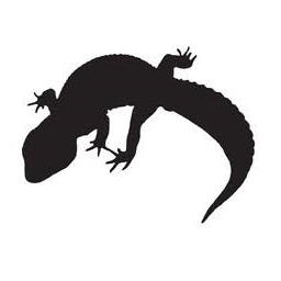 LeopardGeckomod icon