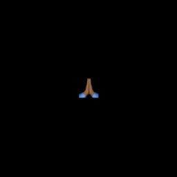 pray icon