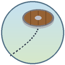 ShieldGolf icon